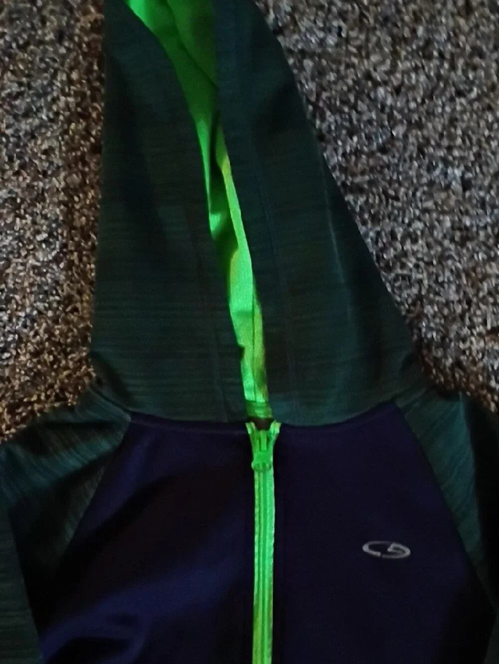 Champion Navy Hoodie with Bright Green Trim